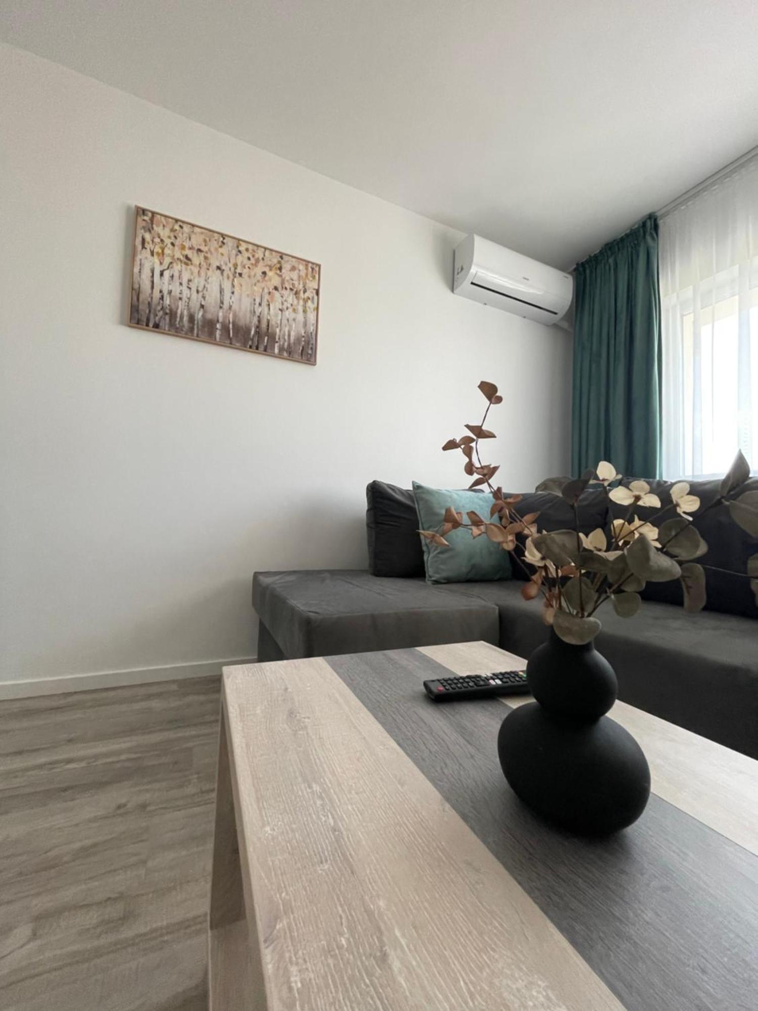 Comfort & Luxury Apartaments Pnmresidence Timişoara Buitenkant foto