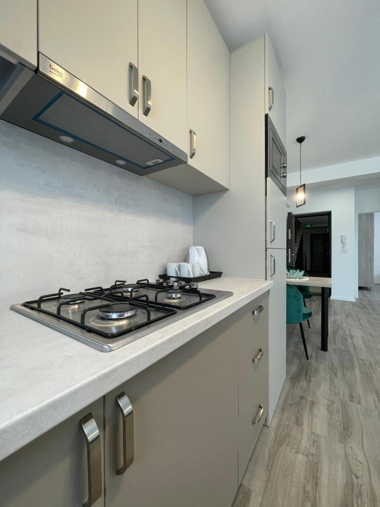 Comfort & Luxury Apartaments Pnmresidence Timişoara Buitenkant foto